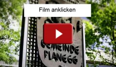 Film Wappen vor Rathaus