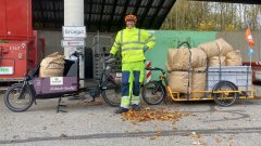 Lastenrad Laubsammlung